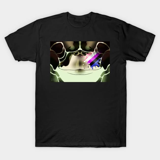 Genderfluid Sea Turtle Face T-Shirt by KeishaMaKainn